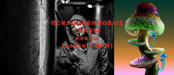 гашик Костерёво