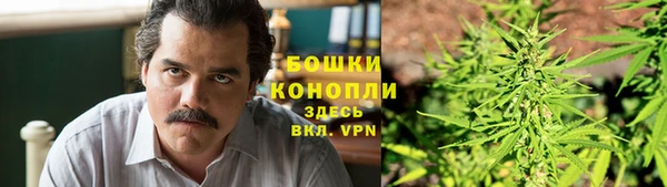 гашик Костерёво