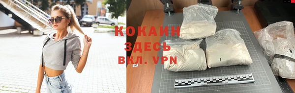 хмурый Корсаков