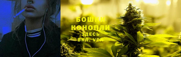 гашик Костерёво