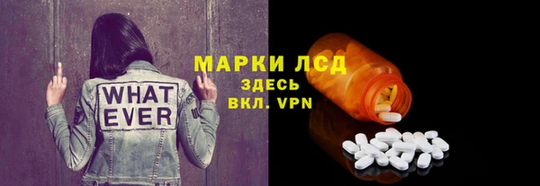 гашик Костерёво