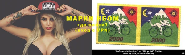 хмурый Корсаков