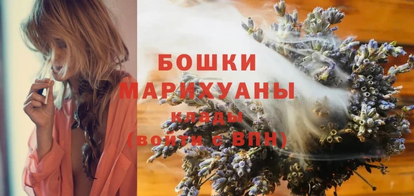 хмурый Корсаков