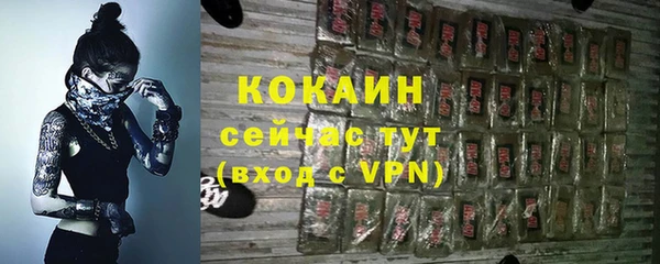 гашик Костерёво