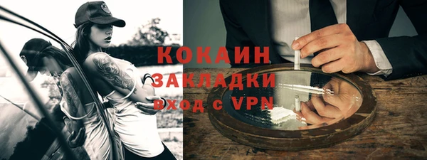 гашик Костерёво