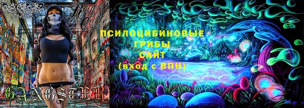 хмурый Корсаков
